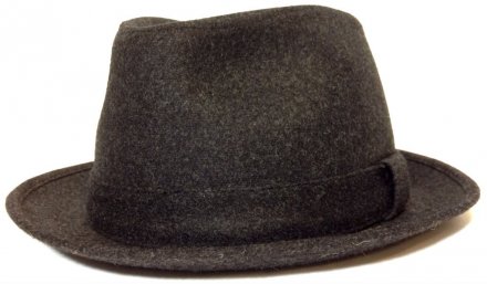 Kapelusze - Wegener Albion (szary)