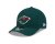 Czapka z daszkiem - New Era Minnesota Wild 9FORTY M-Crown (zielony)
