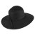 Kapelusze - Brighton Sun Hat (czarny)