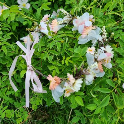 Wieniec kwiatowy - Gårda Evanthe Flowerband (wielobarwny)