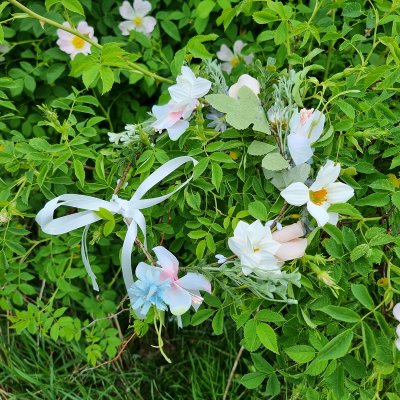 Wieniec kwiatowy - Gårda Iris Flowerband (wielobarwny)