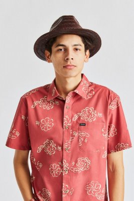 Kapelusze - Brixton Messer Straw (brązowy)