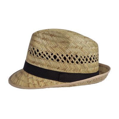 Hattar - Wegener Galena (natur)